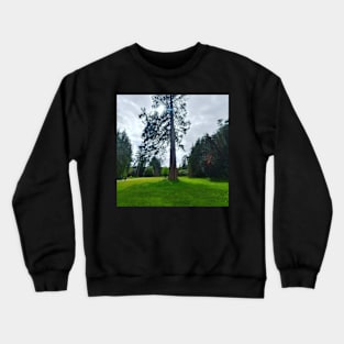 A lone tree Crewneck Sweatshirt